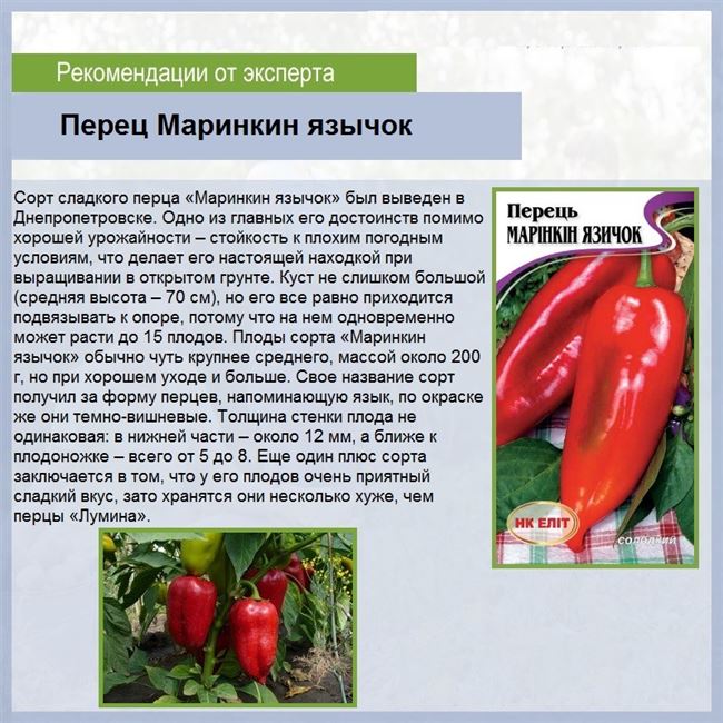 Перец Полет F1: характеристика и описание сладкого болгарского сорта, отзывы об урожайности, фото семян Седек