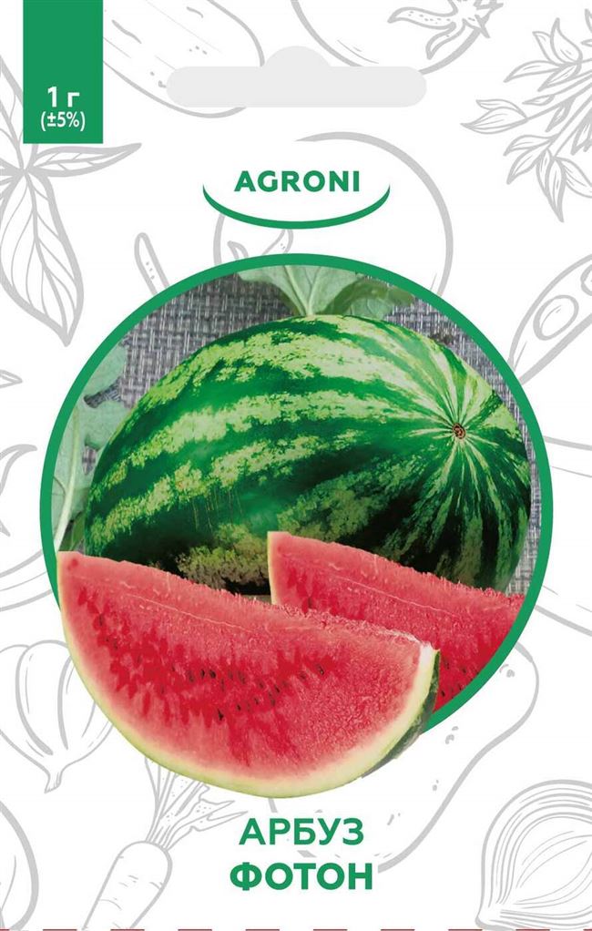 Арбуз «Фотон»: описание сорта, урожайность и особенности выращивания с фото