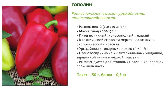 Толстоплодный сорт для свежих блюд и заготовок — перец Тополин: характеристика и описание