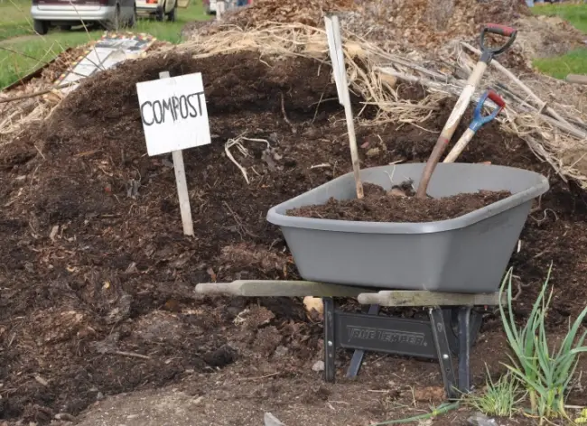 Конский компост для огорода – что за удобрение и как использовать