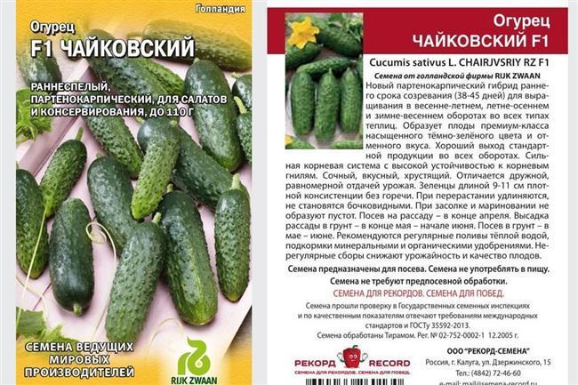 Огурец Колорит F1 – РУП «Институт овощеводства»