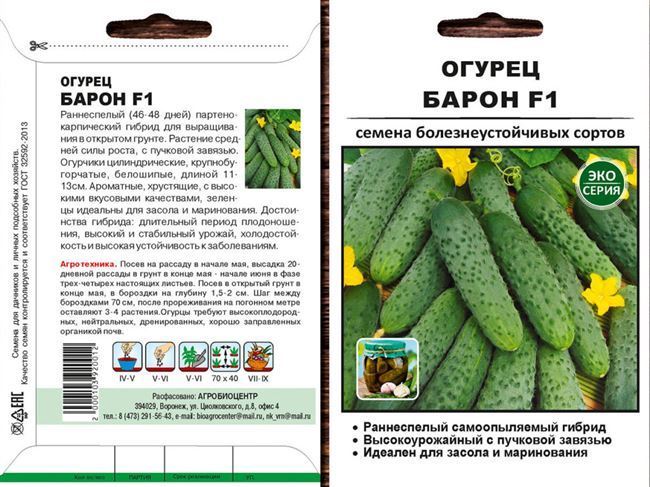Огурец Капучино F1 — фото урожая, цены, отзывы и особенности выращивания