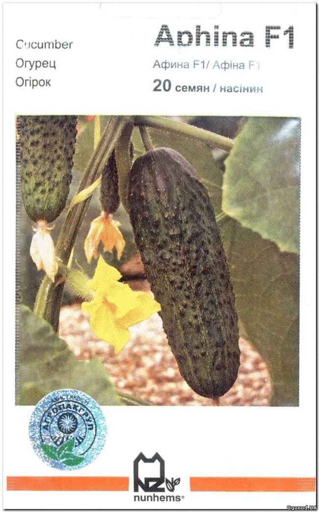 Огурец Карнавал F1 (Код: 3949) | Семена Овощей  Н-О. Семена овощей