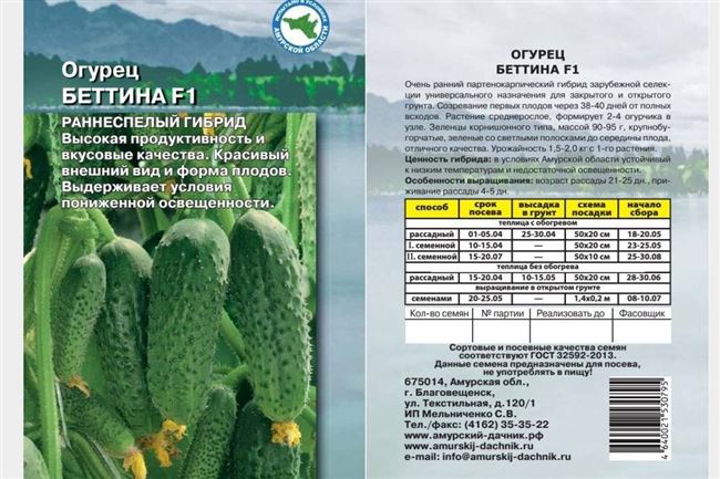 Огурец Майский f1 – амбициозная гибридная разновидность с высокой продуктивностью и отменными вкусовыми качествами зеленцов