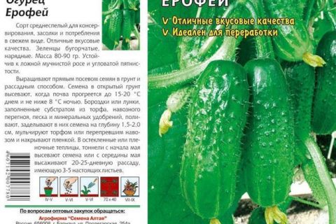 Сорта огурцов для теплицы Урала и Сибири фото описание