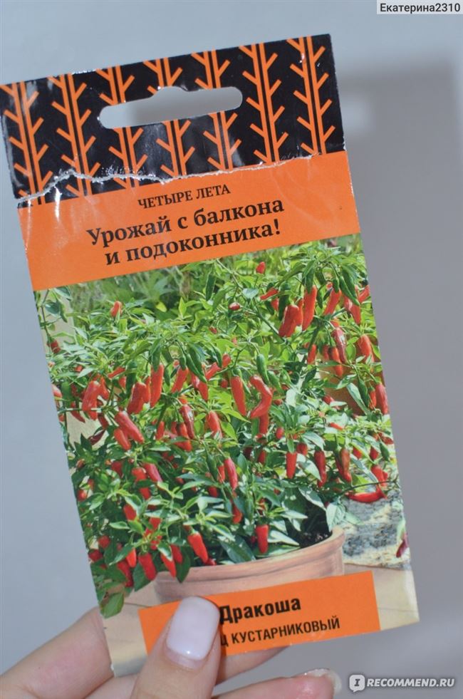 Перец кустарниковый Дракоша (острый) семена — низкая цена, описание, отзывы, продажа