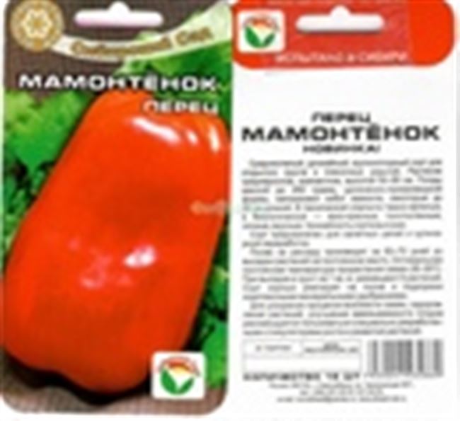 Перец Мамонтенок — характеристика и описание сорта, фото, урожайность, отзывы овощеводов