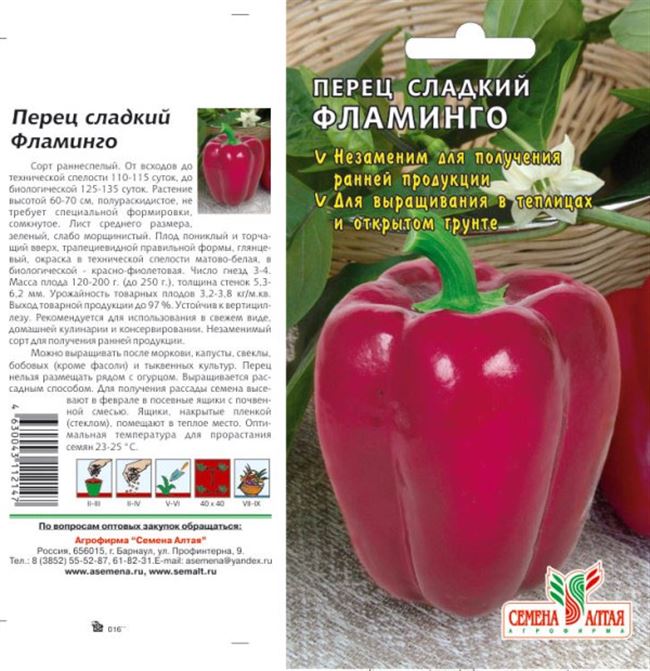 Перец Фламинго F1: отзывы о семенах, характеристика и описание сладкого болгарского сорта, фото куста