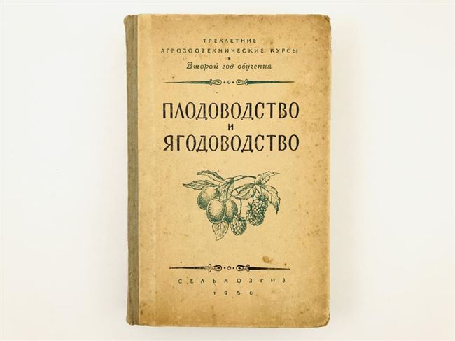 Заключение диссертации по теме «Плодоводство, виноградарство», Иваненко, Феликс Константинович