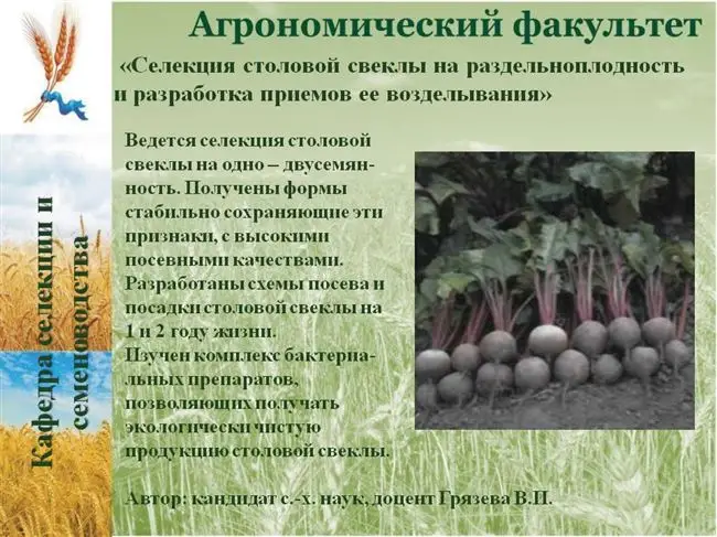 Заключение диссертации по теме «Селекция и семеноводство», Ипатова, Наталия Валерьевна