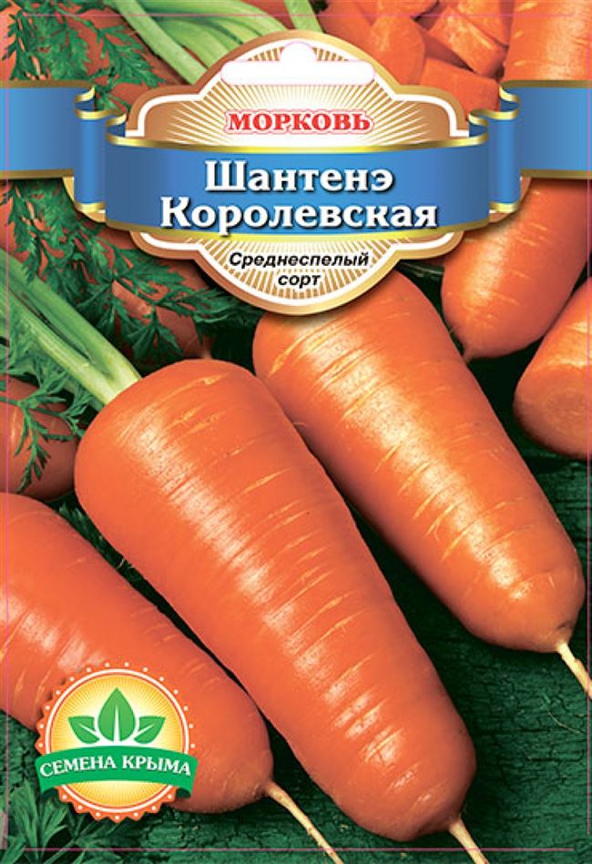 Описание сорта моркови Шантанэ с фото