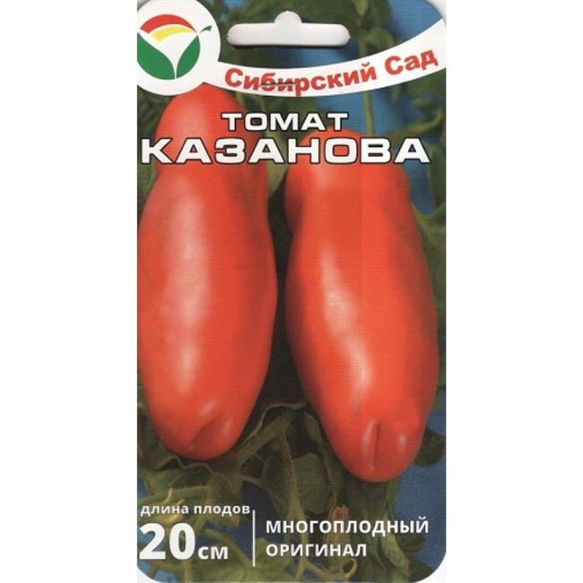 Фото высадки семян томата Казанова