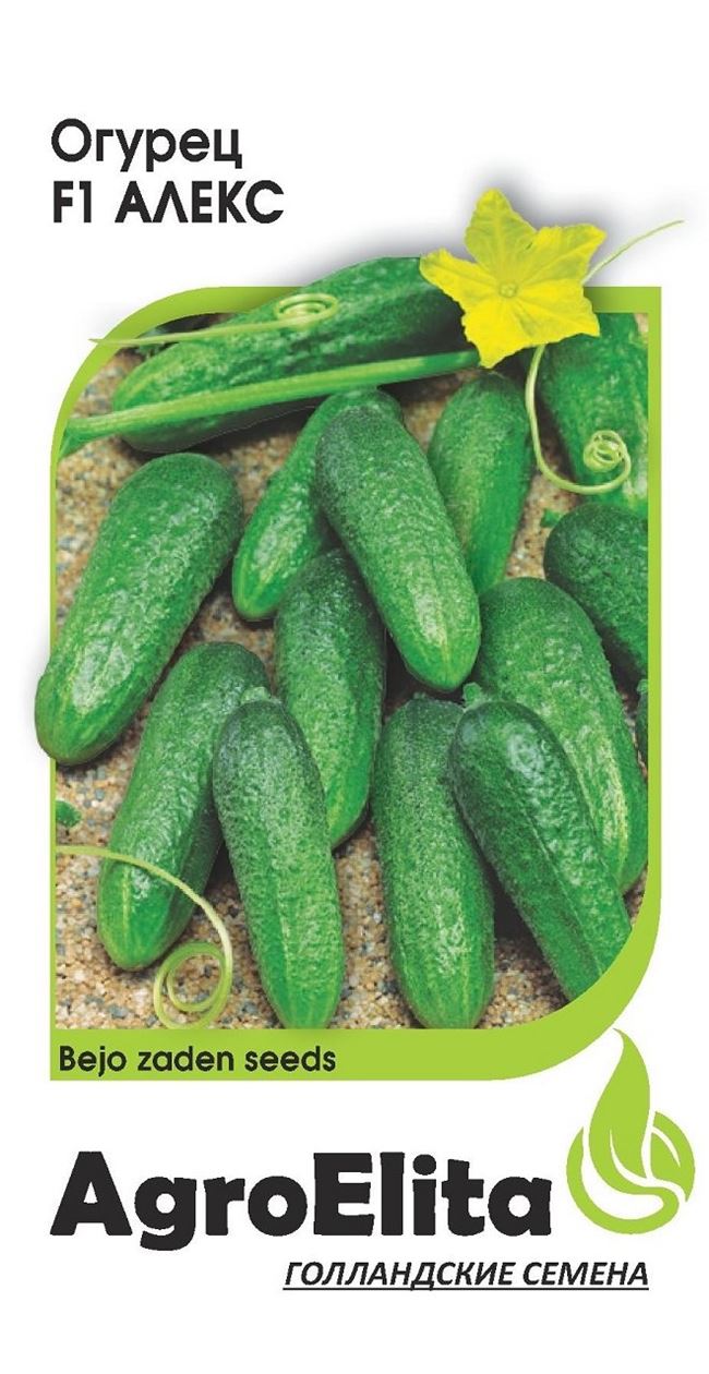 Cucumber Alex: popis a vlastnosti odrůdy, názor letních obyvatel s fotografií