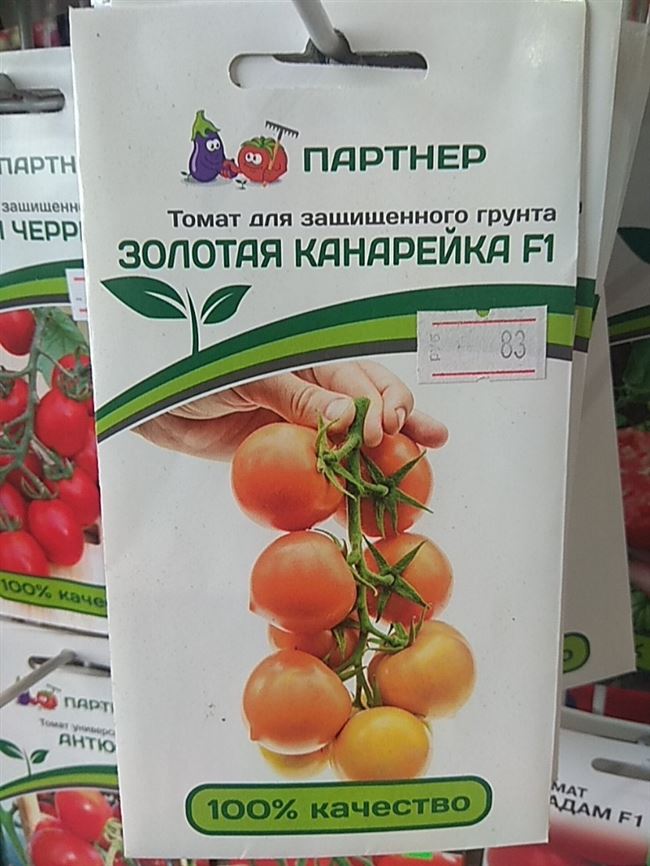 Что говорят дачники о томатах «Золотая канарейка»