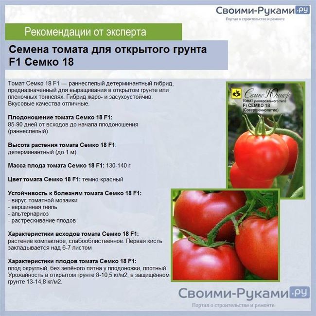 Характеристика томата и его плодов