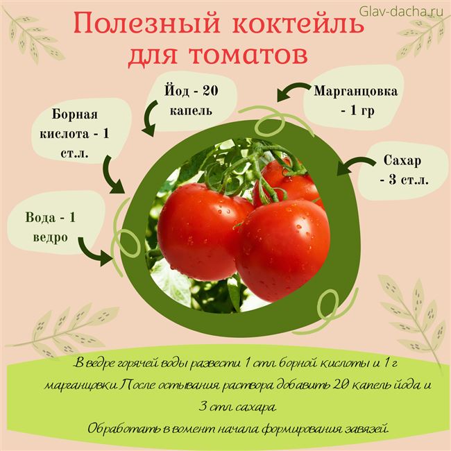 Чем подкормить томаты во второй половине вегетации, видео