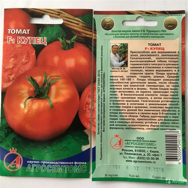 Покупка семян томата Отчаянный