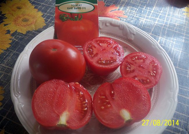Болезни и вредители помидоров