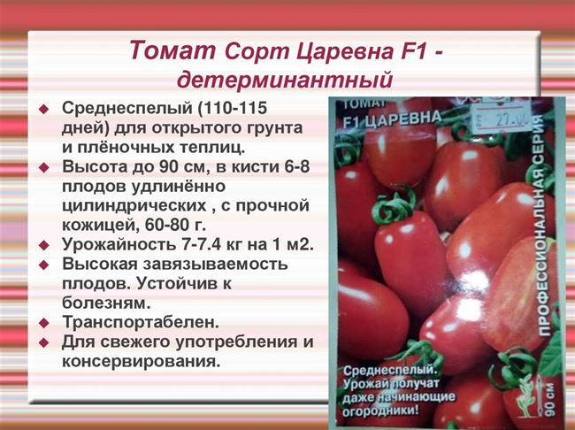 Общие сведения о томате