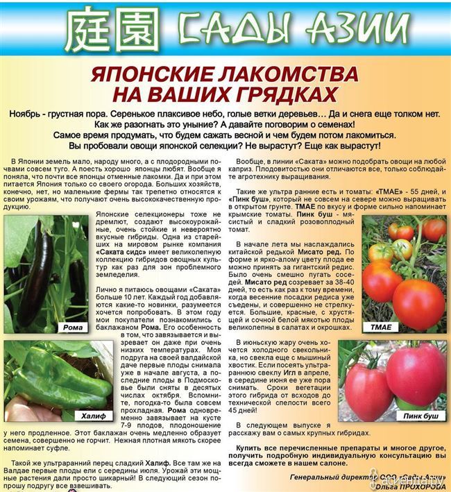 Про овощи - технология выращивания, агротехника, советы,отзывы