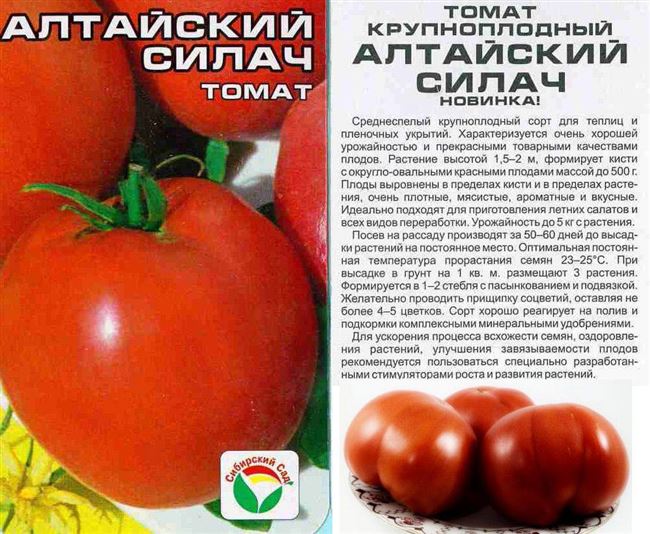 Описание и характеристика сорта томата Юсуповские, отзывы, фото
