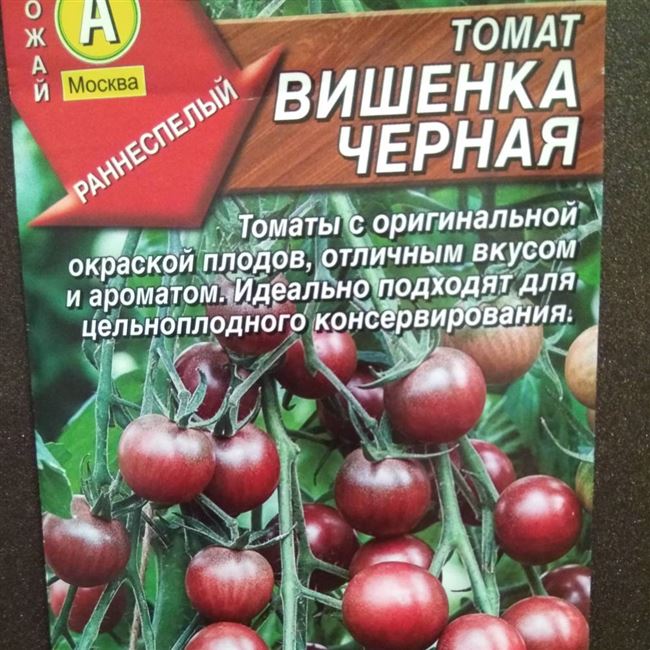 Посадка и выращивание томатов Вишенка чёрная