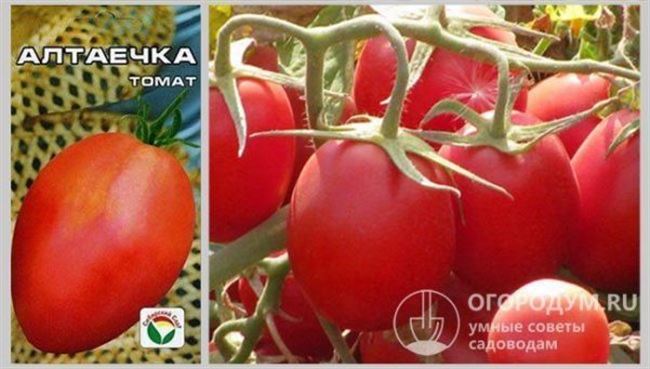 Описание и характеристика сорта томата Банан красный, отзывы, фото