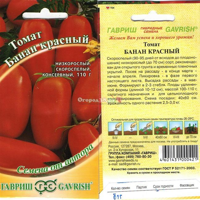 Видео: отставка за томатами — первые важные шаги