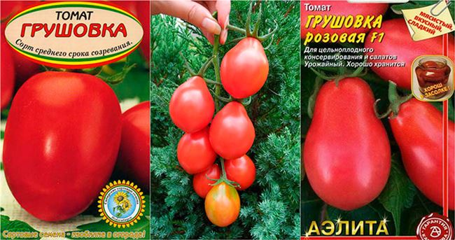 Полив и удобрение томатов