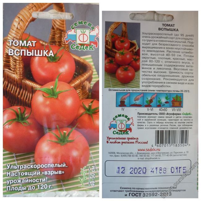 Фото подвязанных томатов Дебют