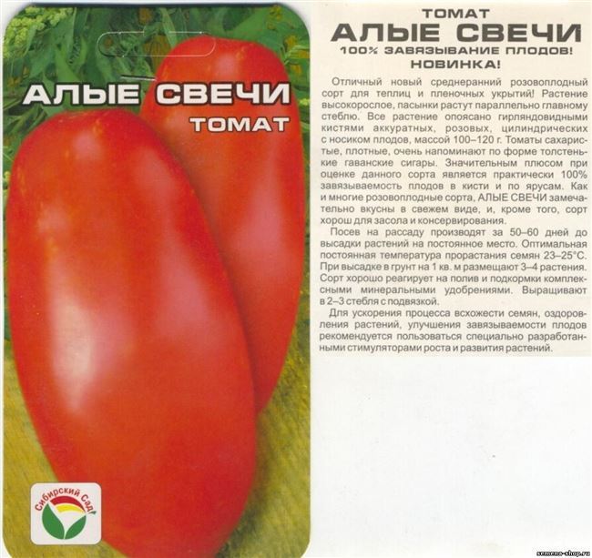 Описание высокоурожайного томата Иван Купала, посадка и уход