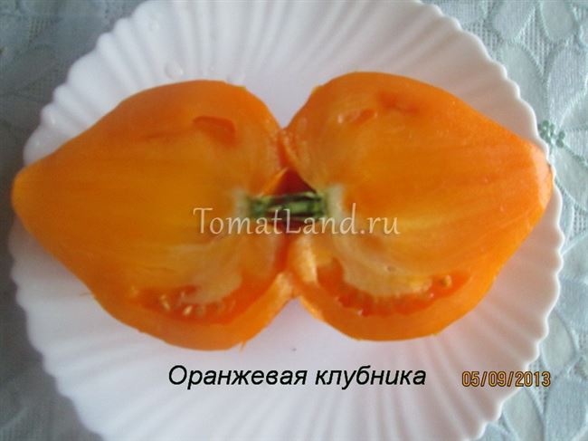 Плюсы и минусы немецкого сорта томатов Оранжевая клубника