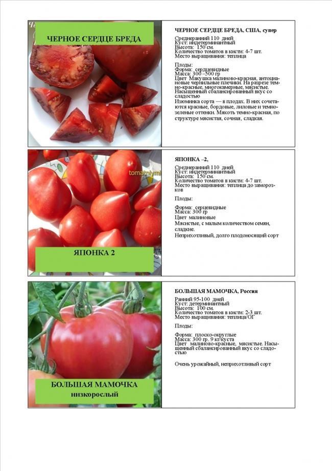Основные качества плодов, урожайность
