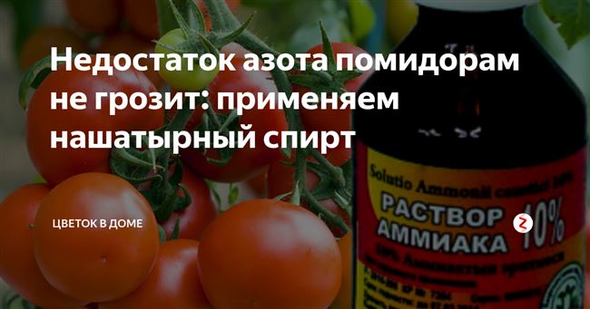 Видео: нашатырный спирт — супер удобрение для томатов