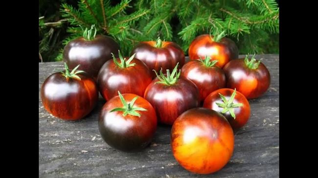 Отзывы других садоводов об антоциановых томатах