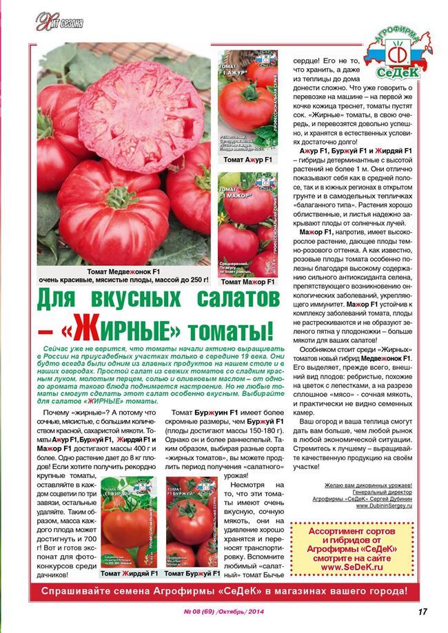 Сбор и хранение урожая помидор