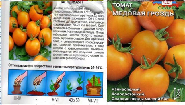 Посадка томатов семенами в открытый грунт