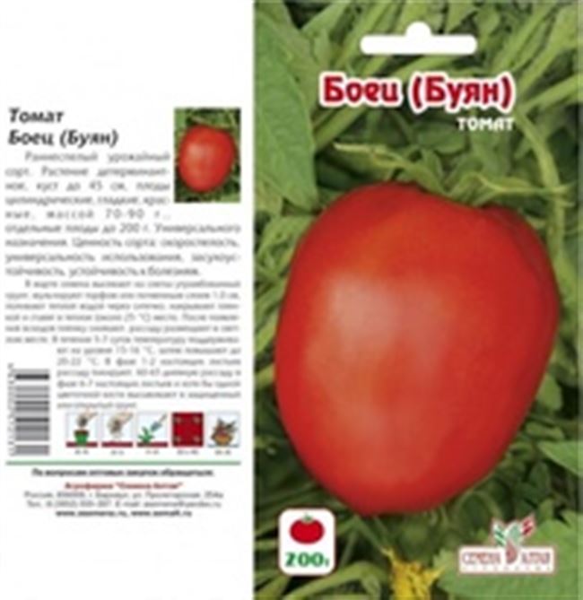 Описание и характеристика сорта томата Боец, отзывы, фото