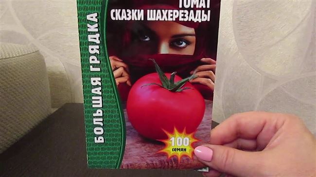 Формирование низкорослых томатов, подвязывание и защита от болезней на видео