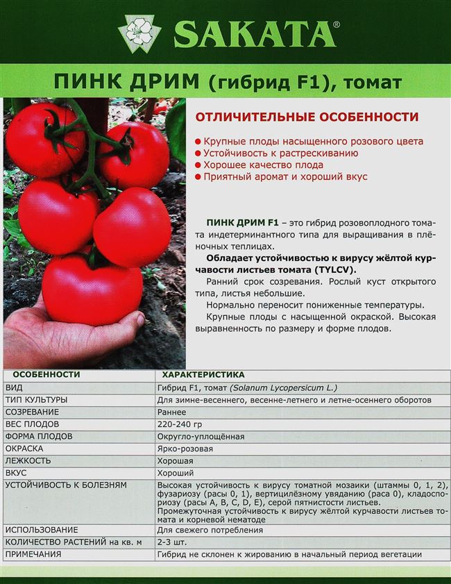 Основные качества и характеристика этого томата
