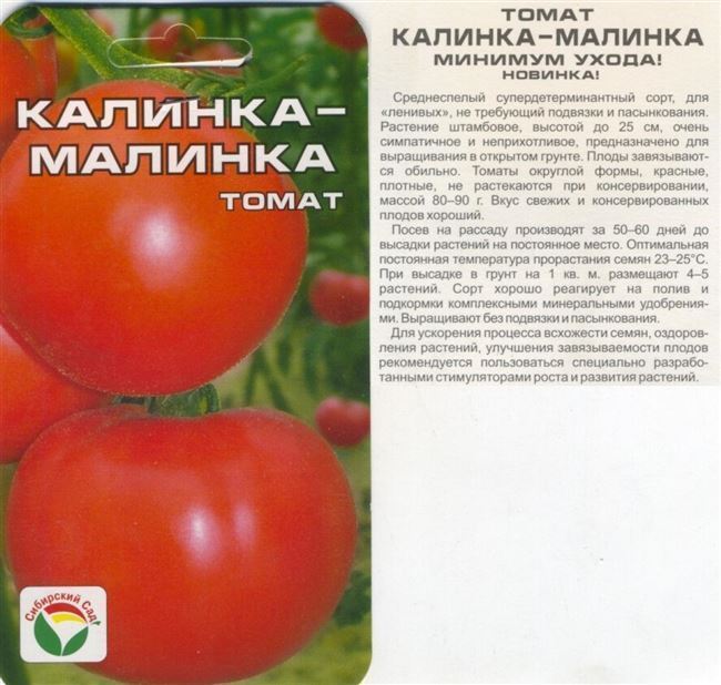Описание среднеспелого сорта томата Руслан и правила выращивания нового вида