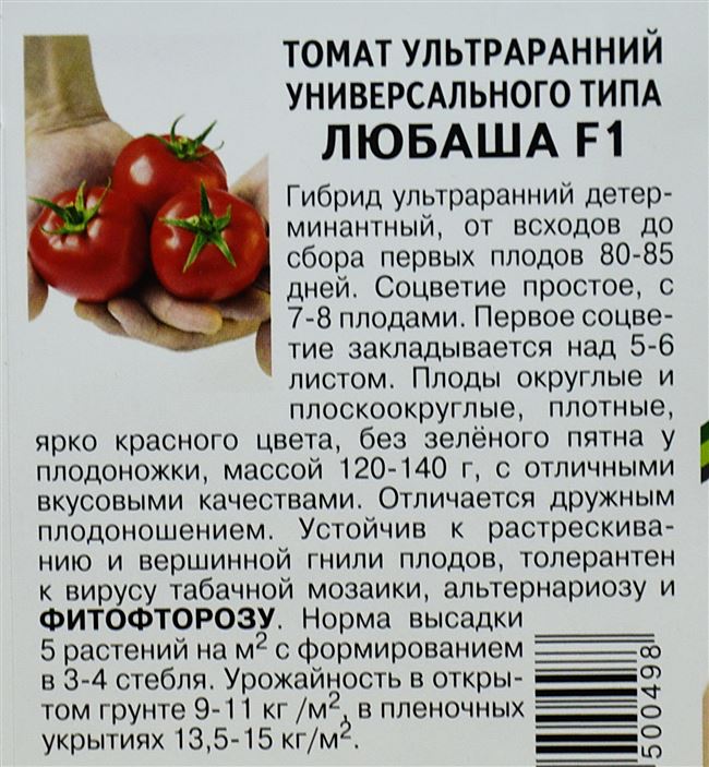 Отличительные особенности томата Русский размер