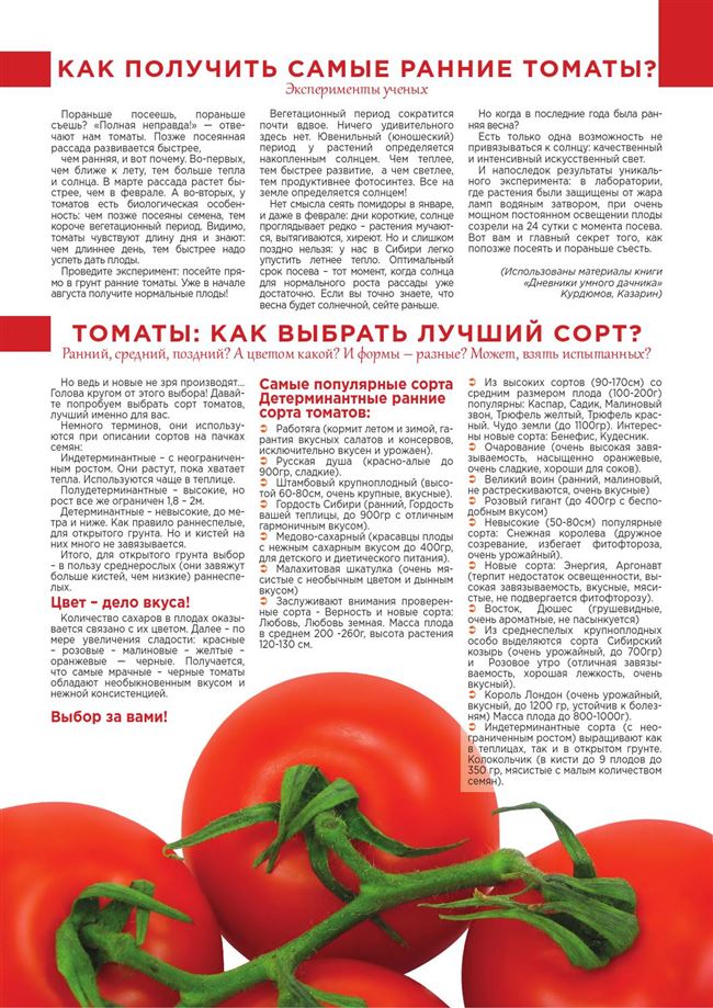 Описание и характеристика сорта томата Сибирский козырь, отзывы, фото