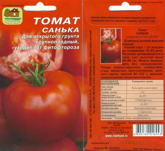 Посадка и выращивание томатов «Санька»