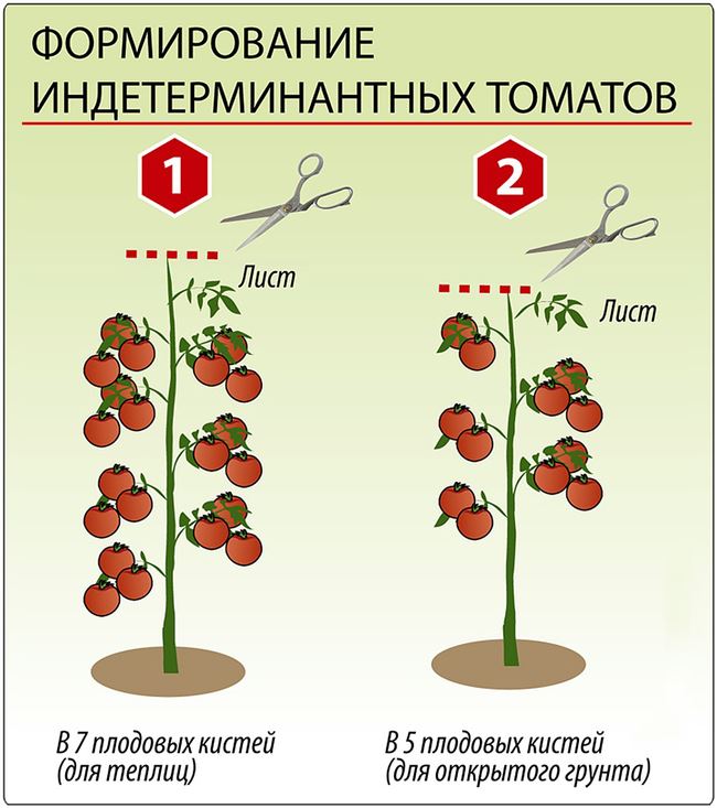 Пасынкование томатов