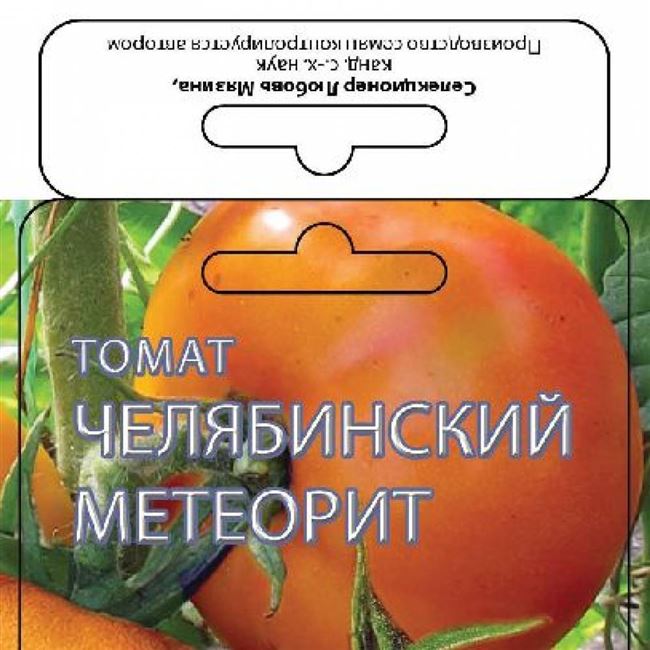Описание томата Челябинский метеорит, фото, отзывы