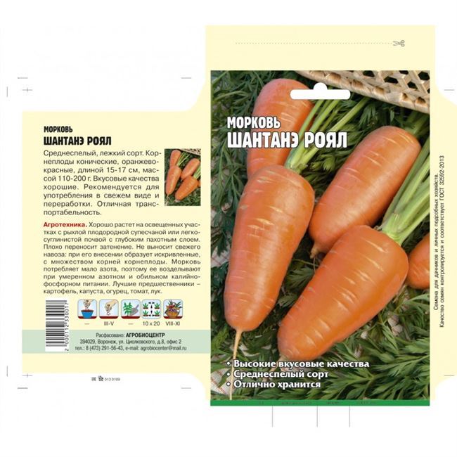 Описание и фото морковки Шантане