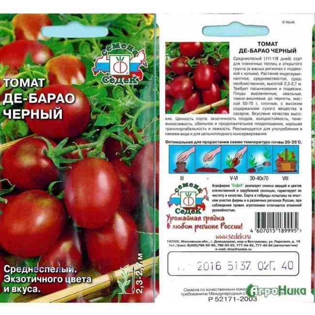 Особенности выращивания томатов Экватор, посадка и уход