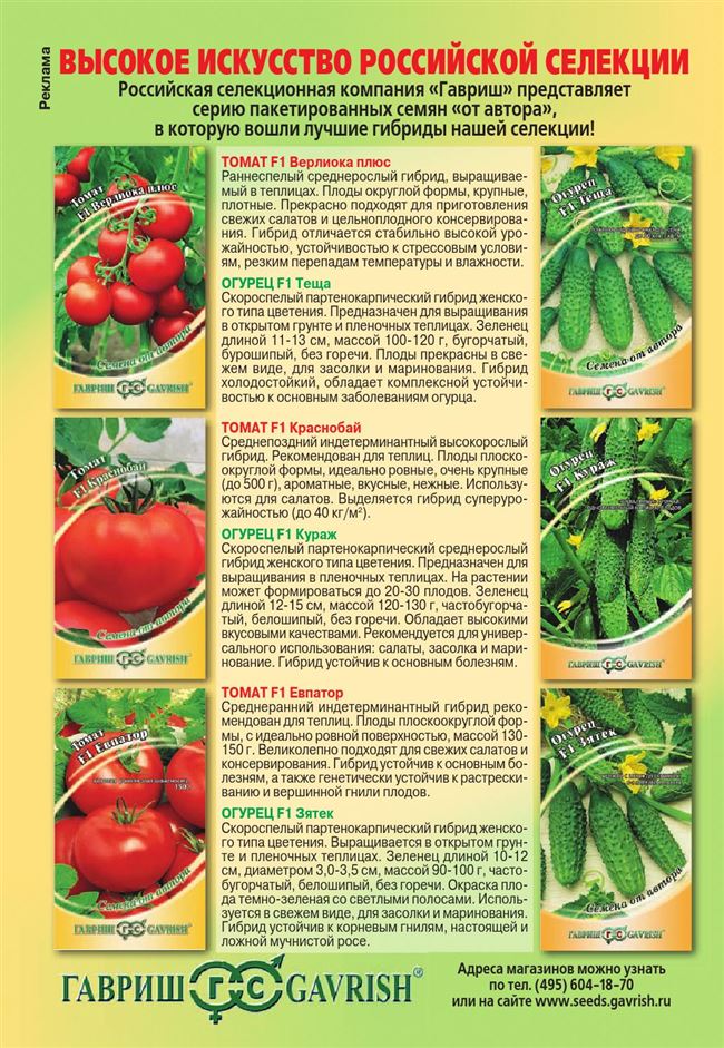 Общая характеристика растения