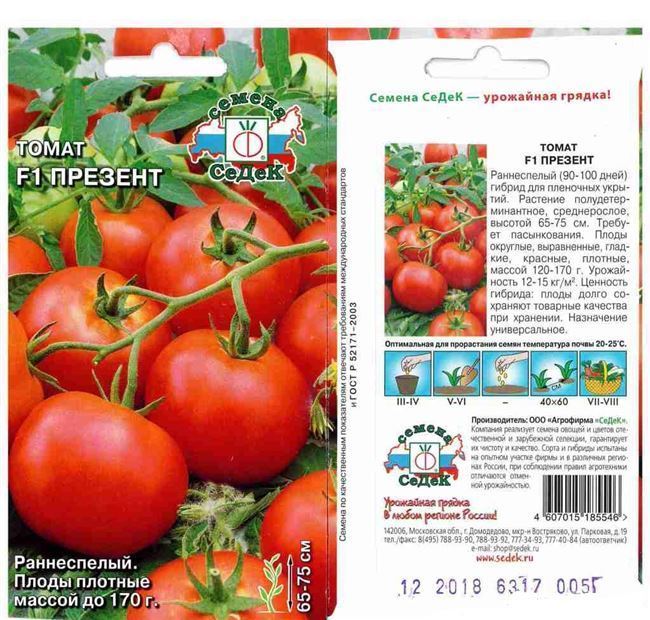 Плюсы и минусы сорта помидор Янтарный